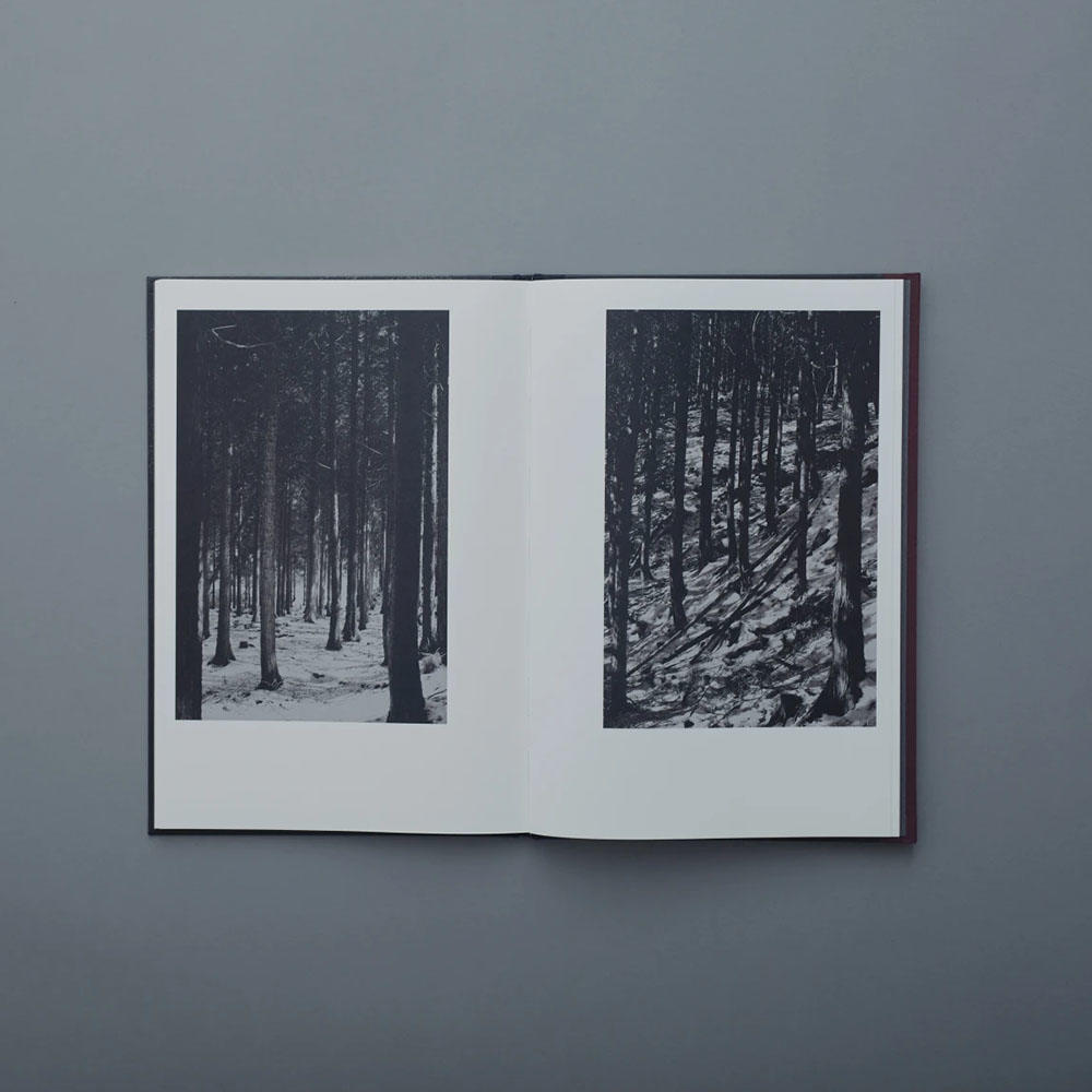 サイン入り】Helix by Shimpei Yamagami（山上新平） 写真集 山上新平