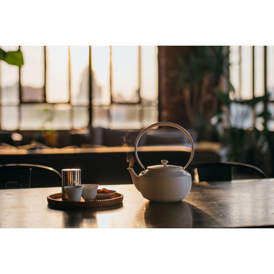 BALMUDA (バルミューダ）MoonKettle(ムーンケトル)WH -の商品詳細 | 蔦