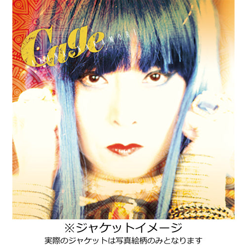 中森明菜 / 明菜【初回限定盤】【CD】 – UNIVERSAL MUSIC STORE