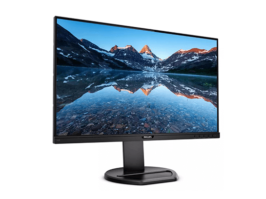 フィリップス製23.8型IPSディスプレイ (243B9/11)｜VAIO公式