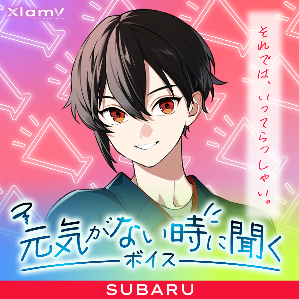 VS AMBIVALENZ オフィシャルストア