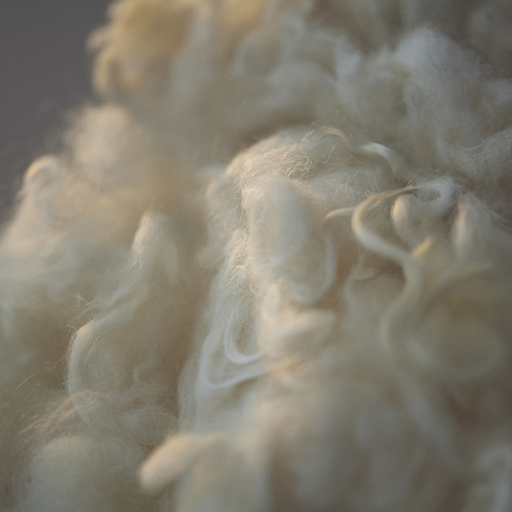 NAMI – Dark Blue（M） ｜ 山形緞通｜オンラインストア