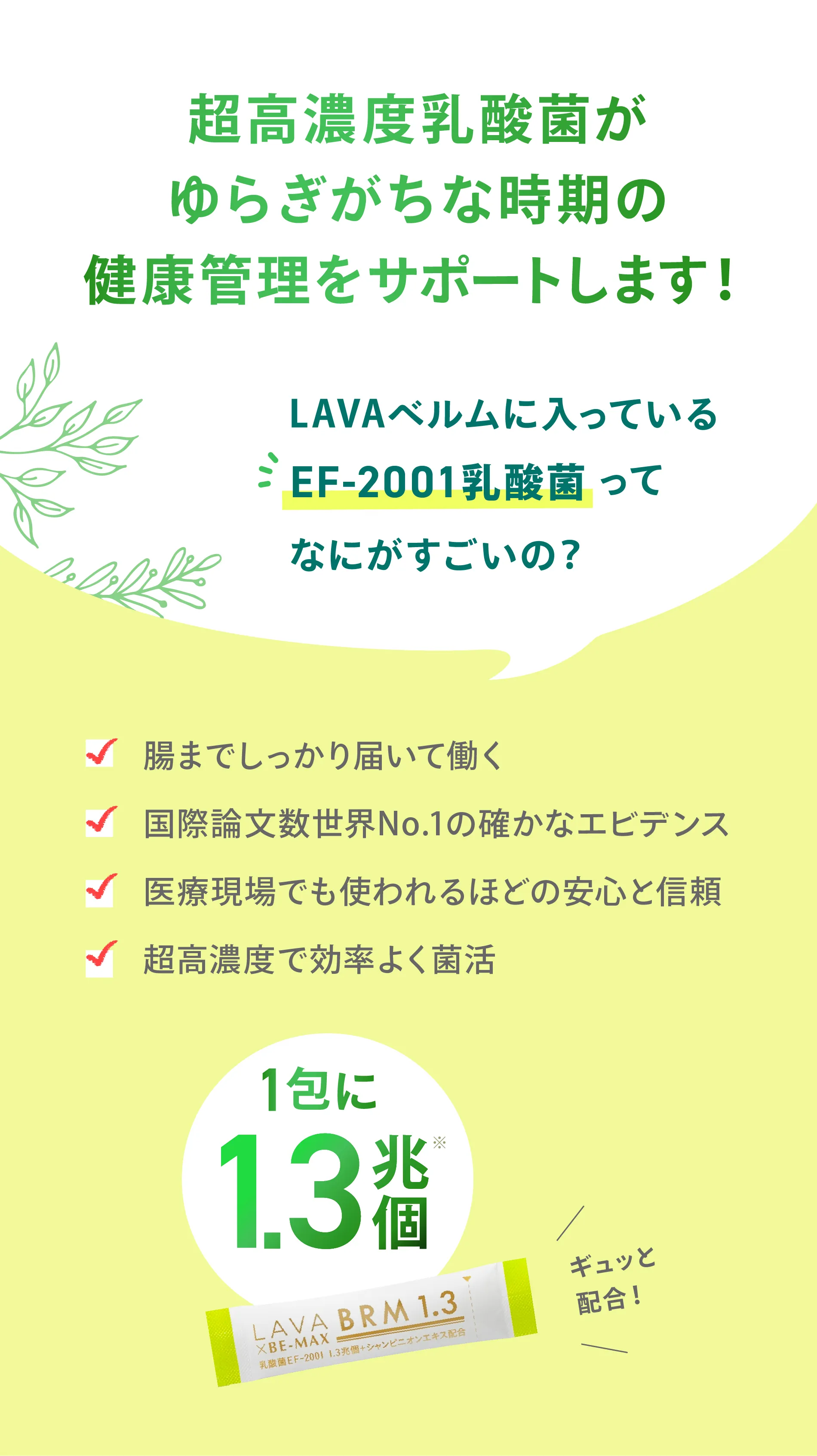 LAVA×BE-MAX BRM 1.3(ラバ×ビーマックスベルム1.3)｜LAVA公式