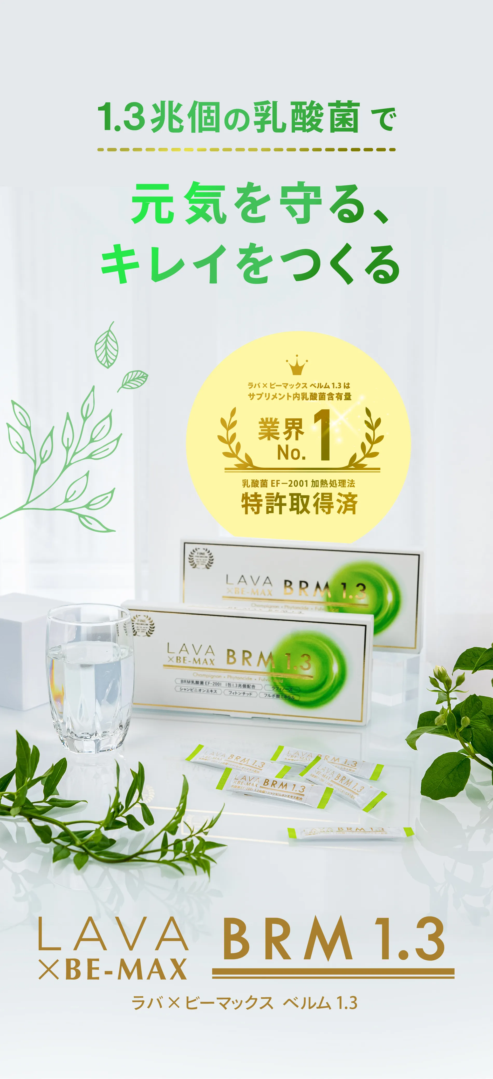 LAVA×BE-MAX BRM 1.3(ラバ×ビーマックスベルム1.3)｜LAVA公式