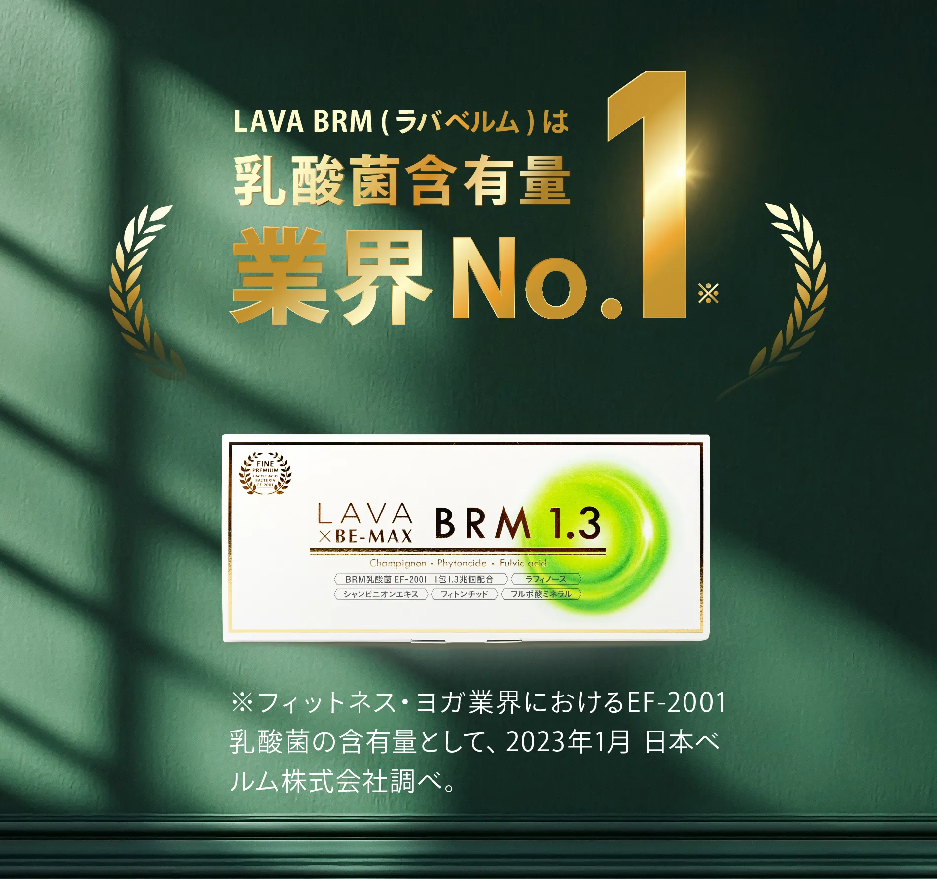 LAVA×BE-MAX BRM 1.3(ラバ×ビーマックスベルム1.3)｜LAVA公式