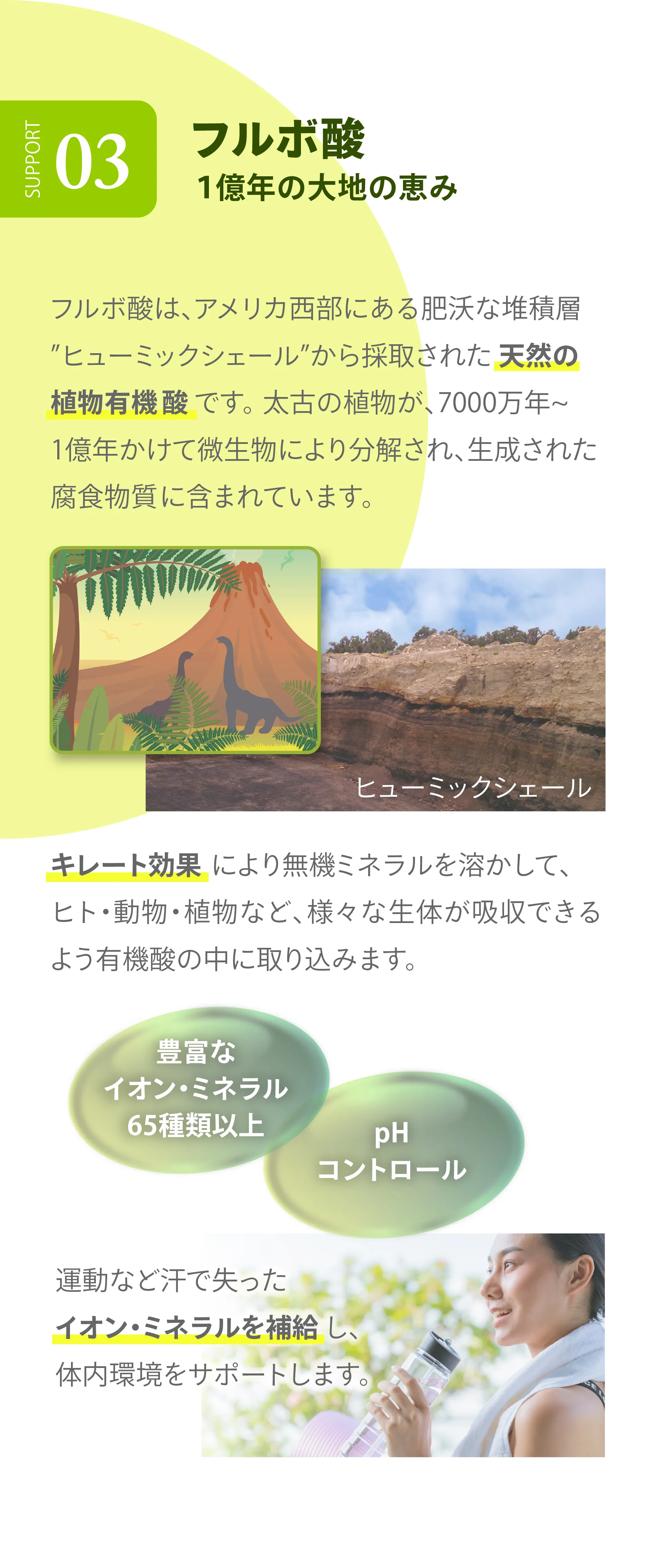 LAVA×BE-MAX BRM 1.3(ラバ×ビーマックスベルム1.3)｜LAVA公式