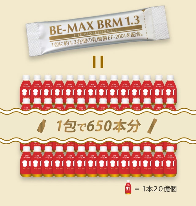 BE-MAX BRM1.3(ビーマックス ベルム 1.3): LAVA公式オンラインストア