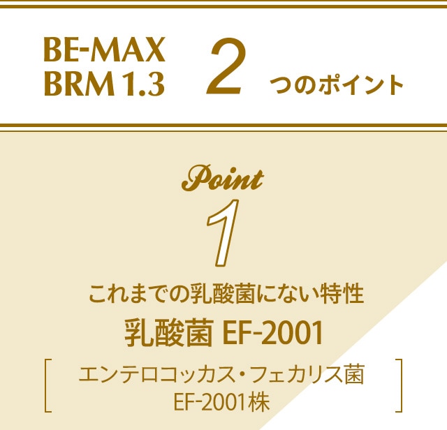 BE-MAX BRM1.3(ビーマックス ベルム 1.3): LAVA公式オンラインストア