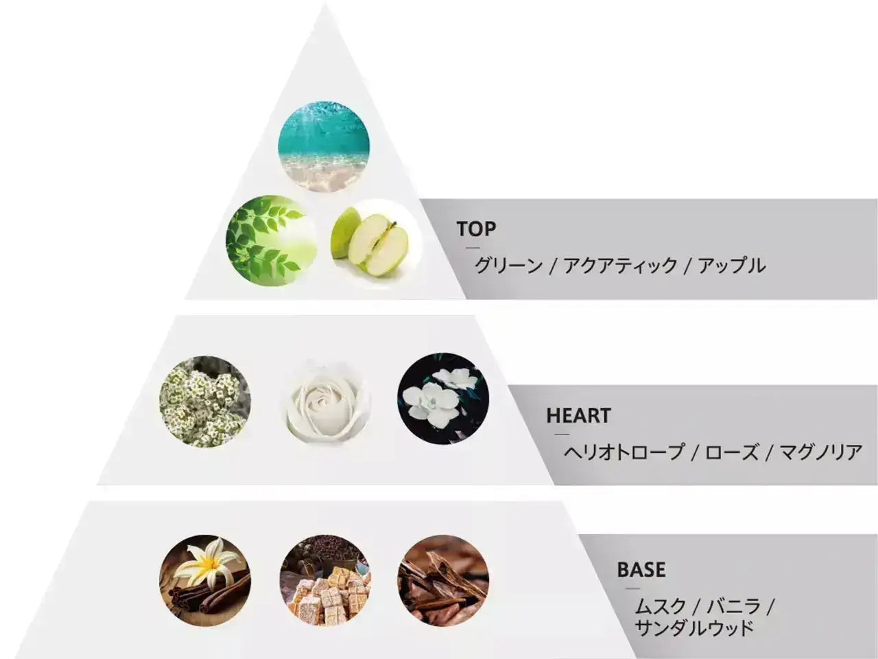 正規品】 シュワルツコフ ファイバープレックス トータルケアセット