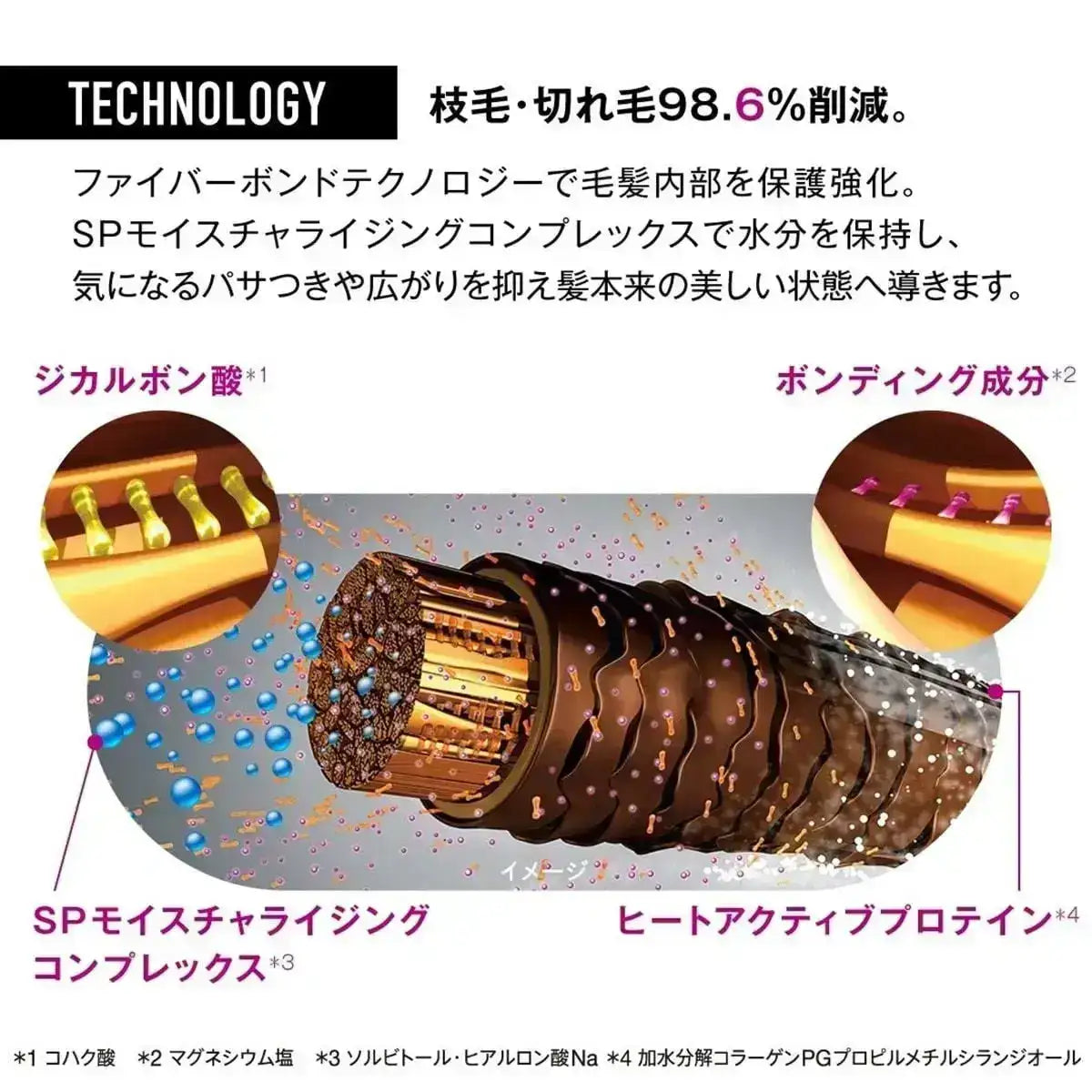 正規品】 シュワルツコフ ファイバープレックス トータルケアセット