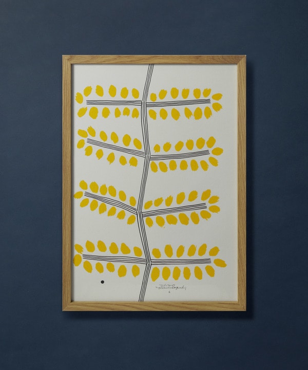 山口一郎さん原画】ミモザ｜BIGI online store - ビギ オンラインストア