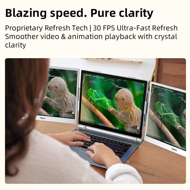 B13-- World's First 13.3