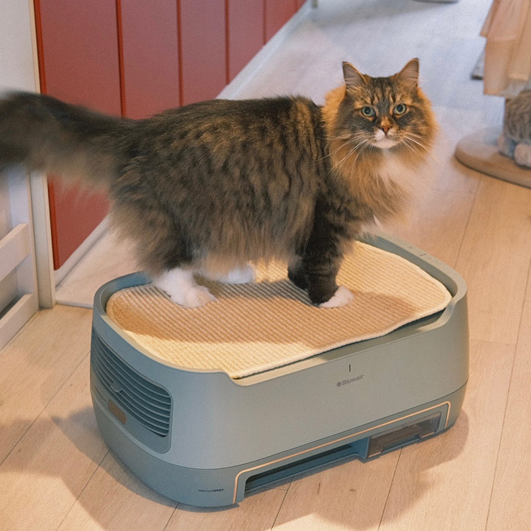 PetAir Pro P3i Green |【公式】ブルーエア空気清浄機 | Blueair