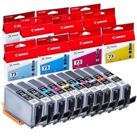 キヤノン PIXUS（ピクサス） PRO-10S インクカートリッジ 通販