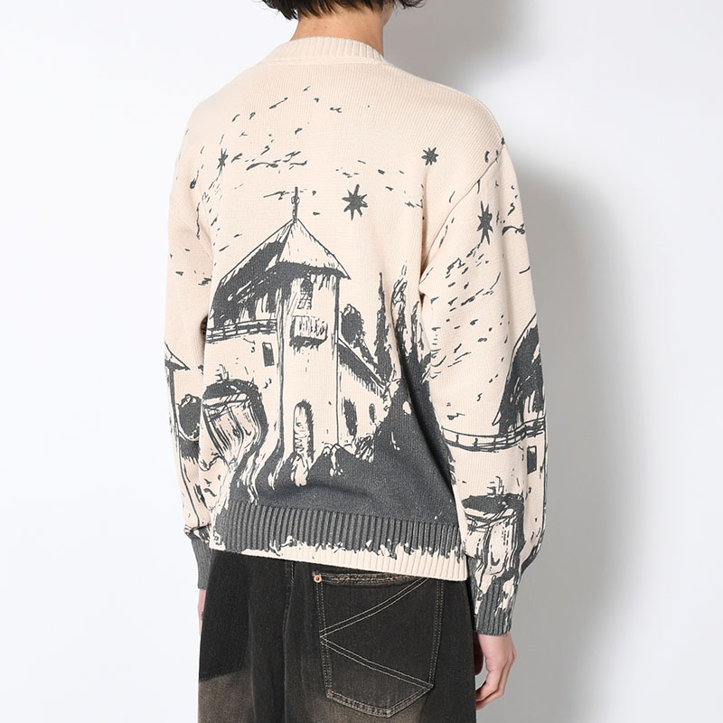 GRAPHIC KNIT -2.COLOR- | IN ONLINE STORE