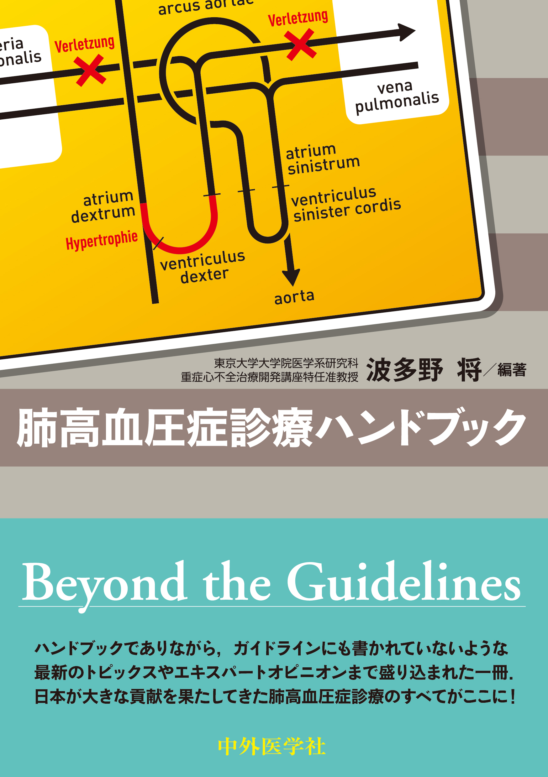 肺高血圧症診療ハンドブック【電子版】 | 医書.jp