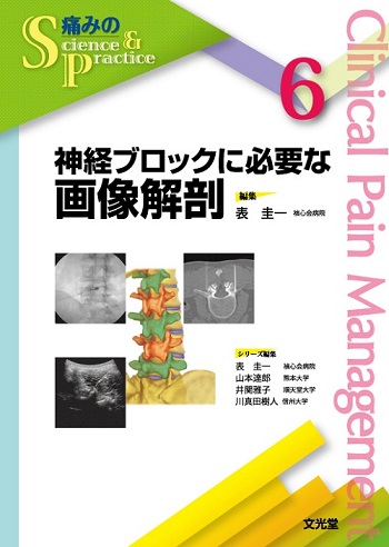 神経ブロックに必要な画像解剖【電子版】 | 医書.jp
