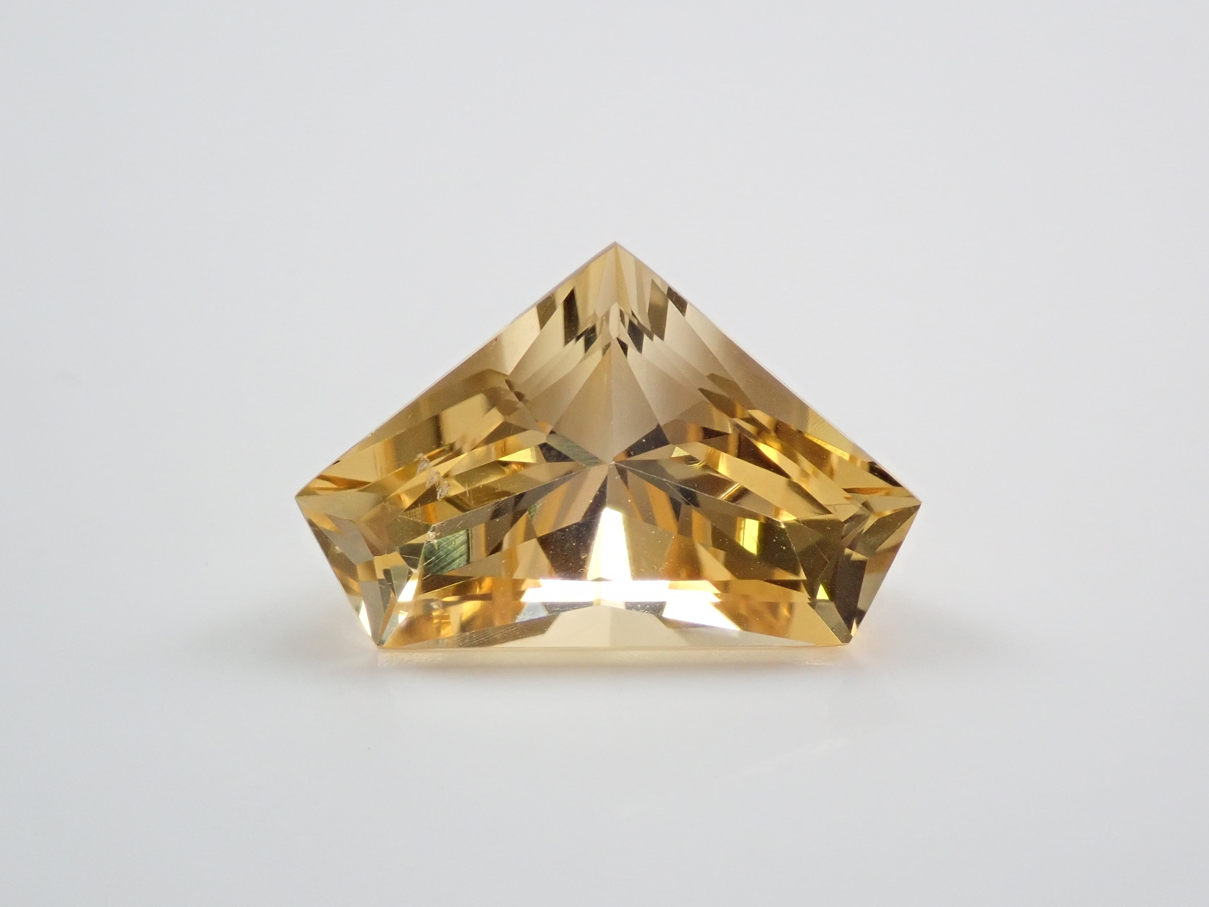 PB260307.jpg?crop=center&