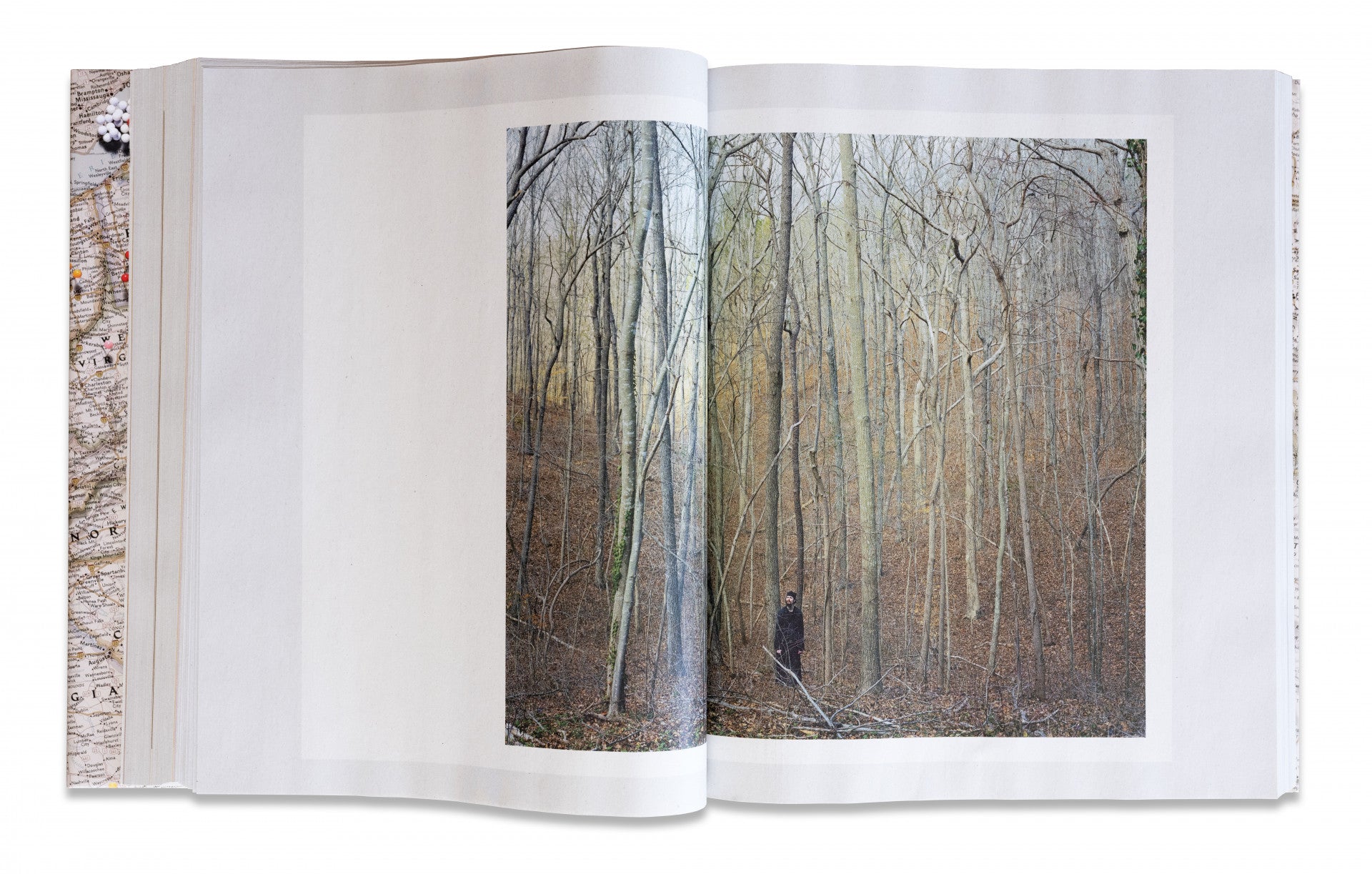 Gathered Leaves Annotated