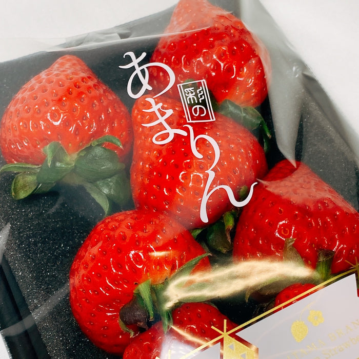 マツコの知らない世界で紹介されました》埼玉県の新品種 大粒苺 あまり