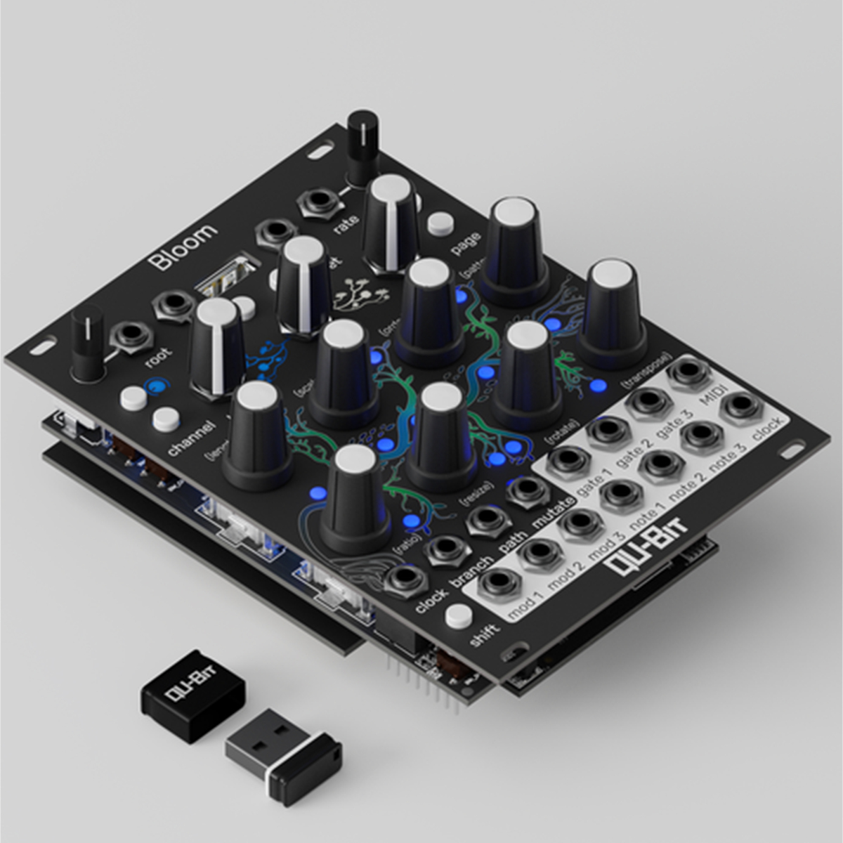 Qu-Bit Electronix Bloom v2 | Rock oN Line eStore