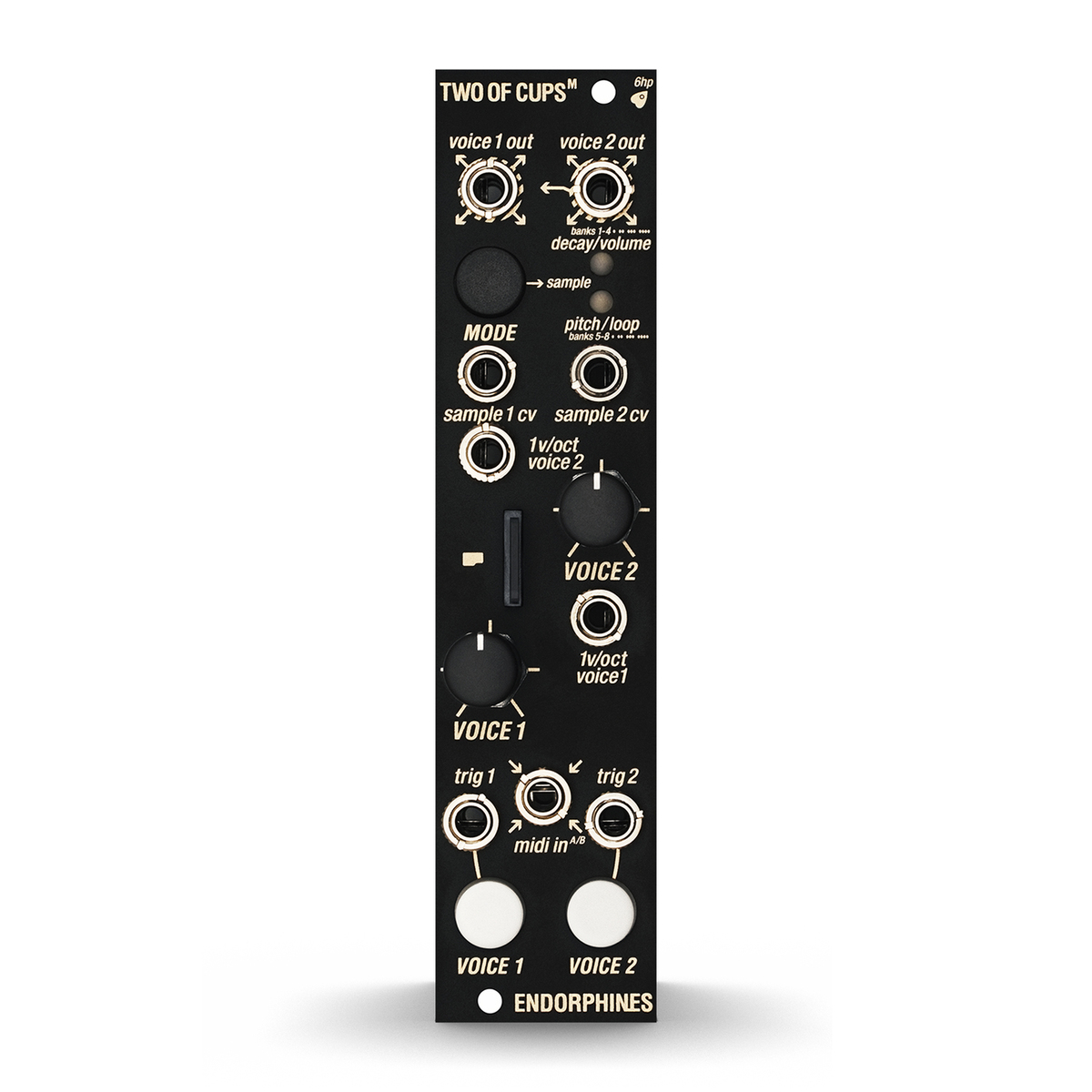 モジュラーシンセ | Rock oN Line eStore