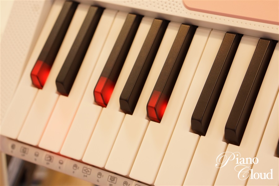CASIO 光ナビゲーションキーボード LK-312 | Piano Cloud Online Store
