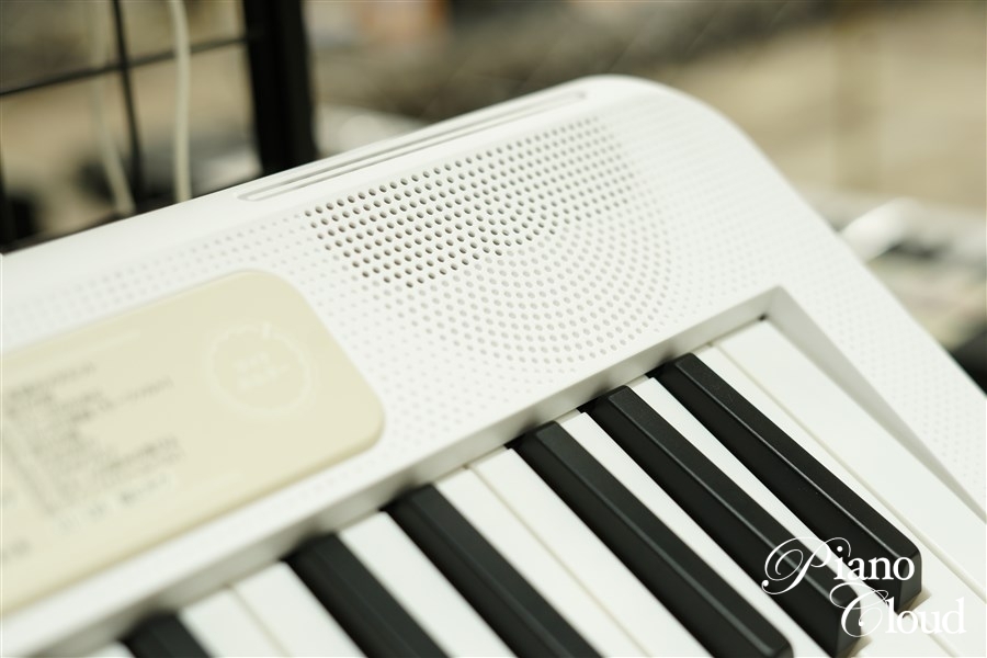 CASIO LK-325 | Piano Cloud Online Store