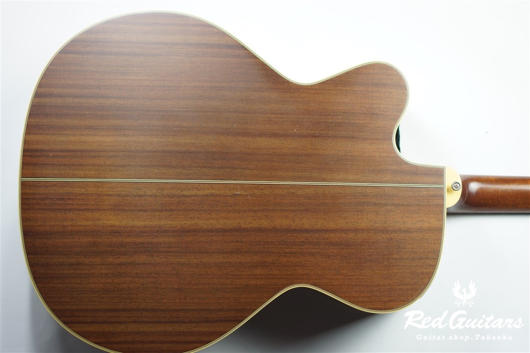Takamine NPT-010 | Red Guitars Online Store