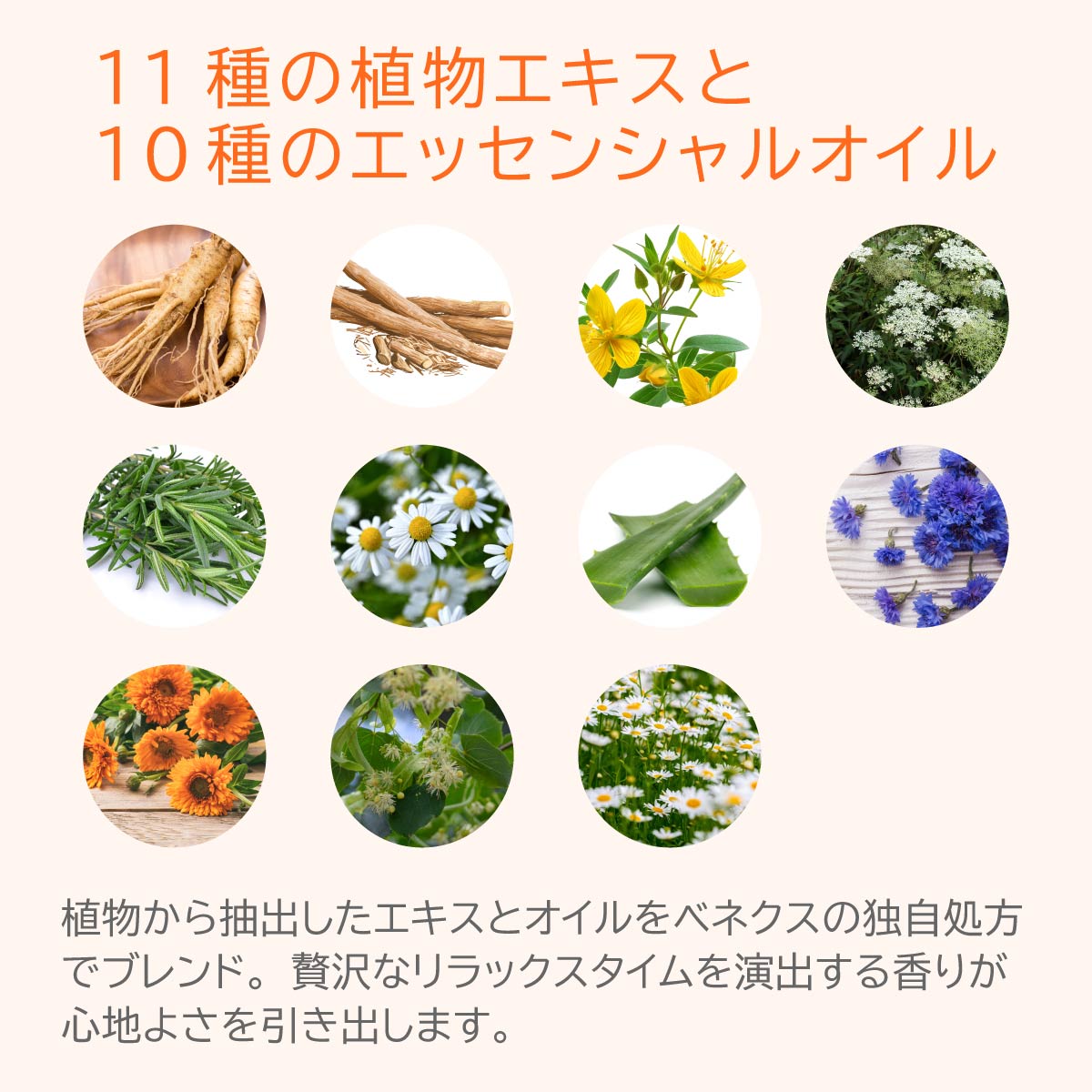 VENEX バイタライズゲル ＜ボディマッサージジェルクリーム