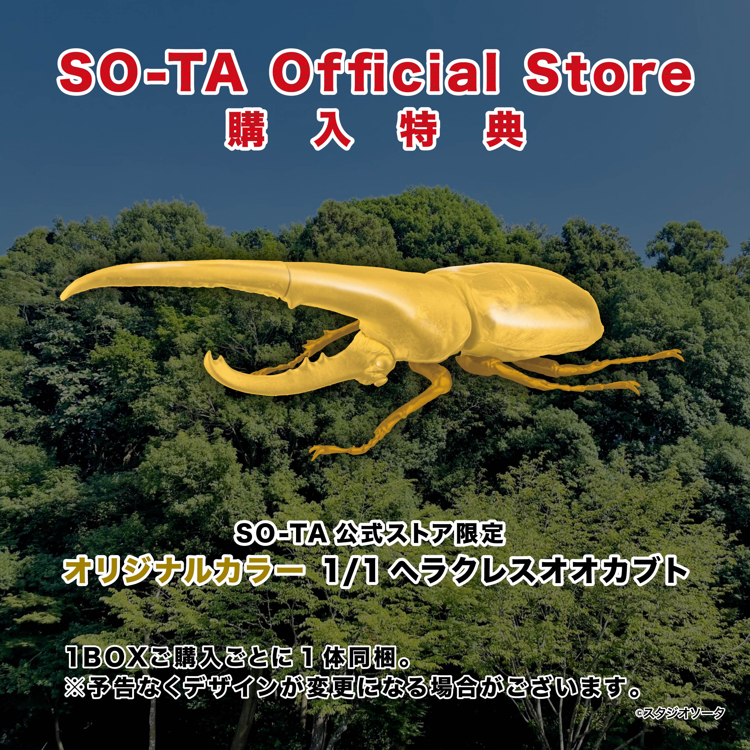 予約受付終了】1/1 ヘラクレスオオカブト(再販)【1BOX／4個入り