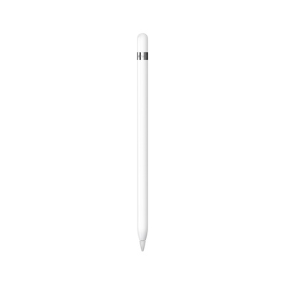 Buy Apple Pencil (USB-C) - Apple (CA)