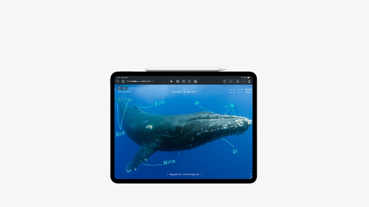 ipad-pro-apple-pencil-unselect