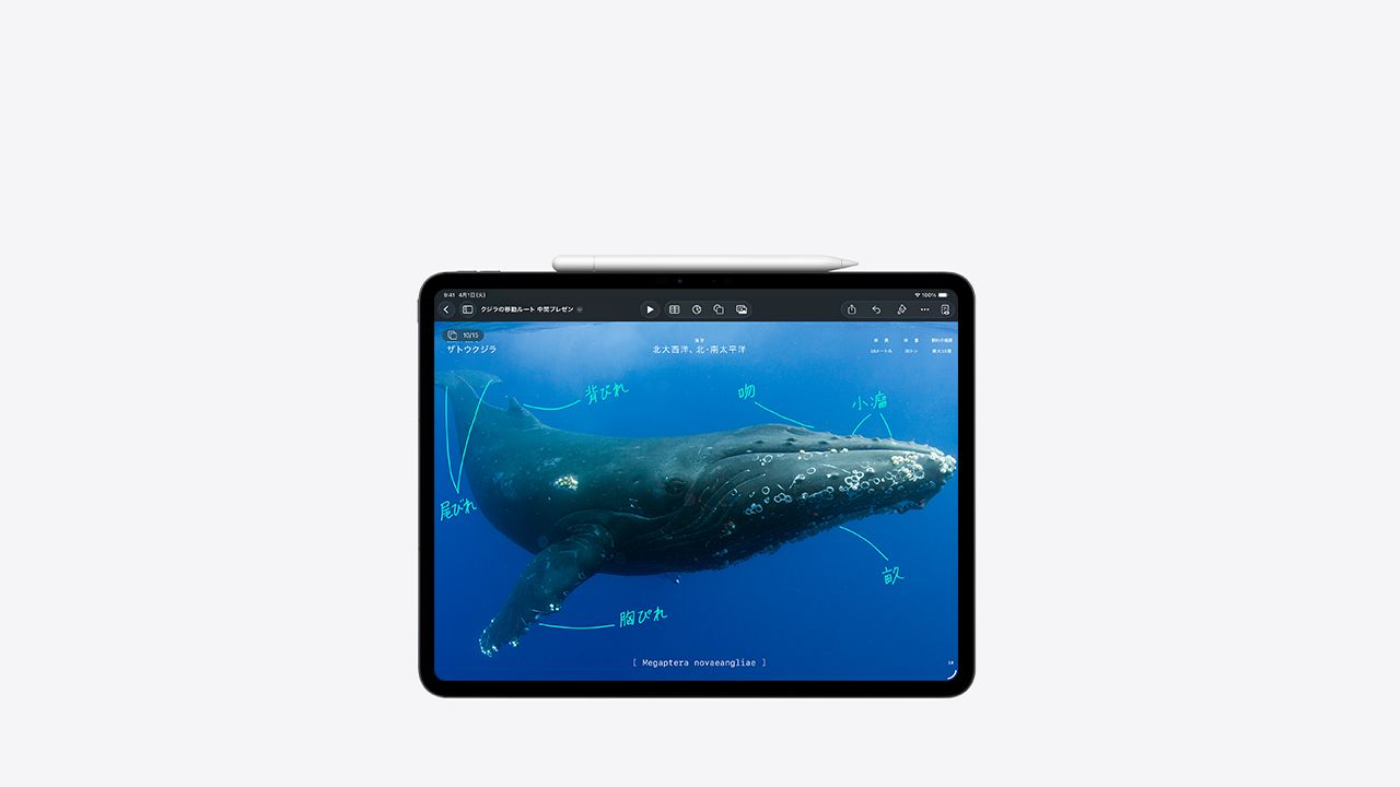 ipad-pro-apple-pencil-usbc-
