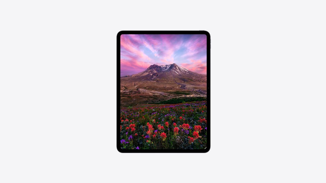11インチiPad Pro Wi‑Fi + Cellularモデル 256GB（標準ガラス搭載