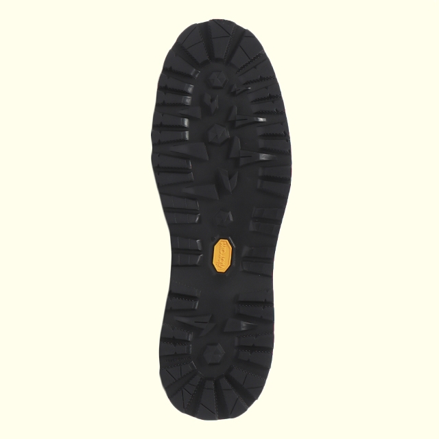 Danner x FRANCK MULLER】D123000 FM / DANNER FIELD FM(6H(24.5cm) N