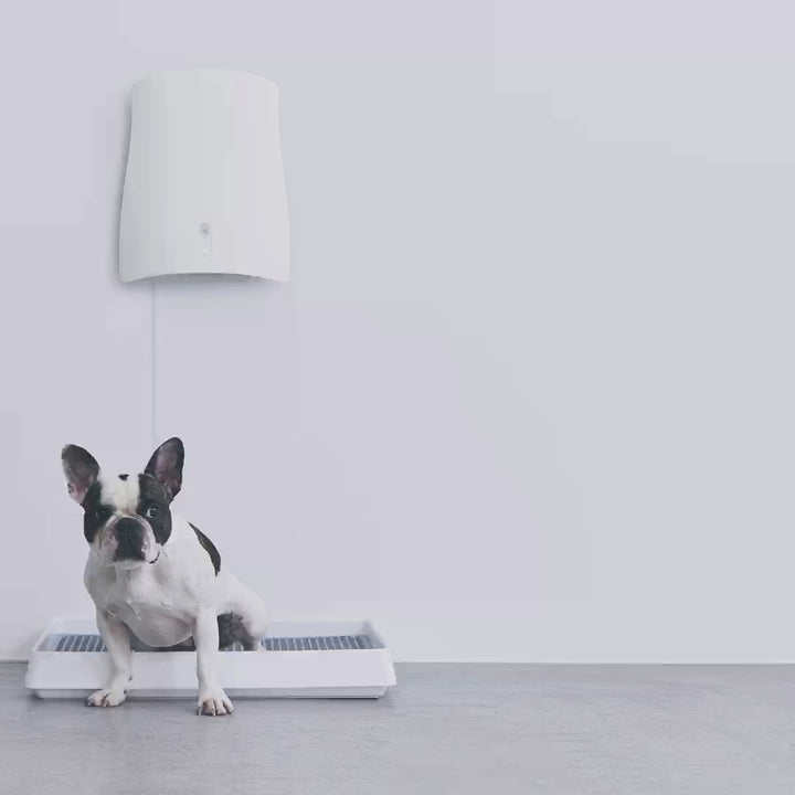 ペット想いの除菌脱臭機QAIS-air- 04A1J (for Pet)｜サンスター – QAIS