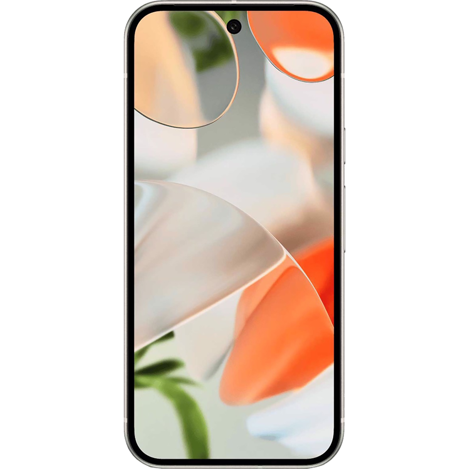 Google Pixel 9 5G Porcelain 256GB + 12GB Dual-SIM Unlocked GSM NEW