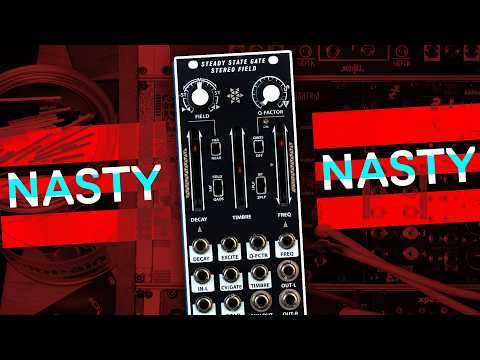 Steady State Gate Stereo Field – Steady State Fate