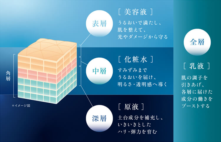 CLESCIENCE Beaute(シリーズから探す/スキンケア)の通販 - 銀座