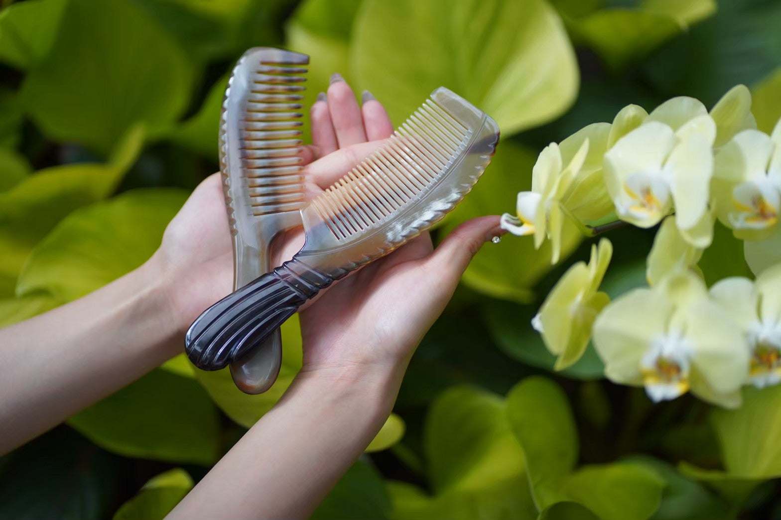 Stephanie comb ステファニーコム｜魔法のクシ