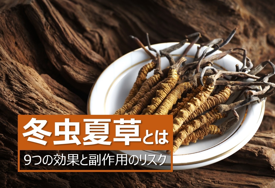 冬虫夏草 Meaning In Japanese - Mazii