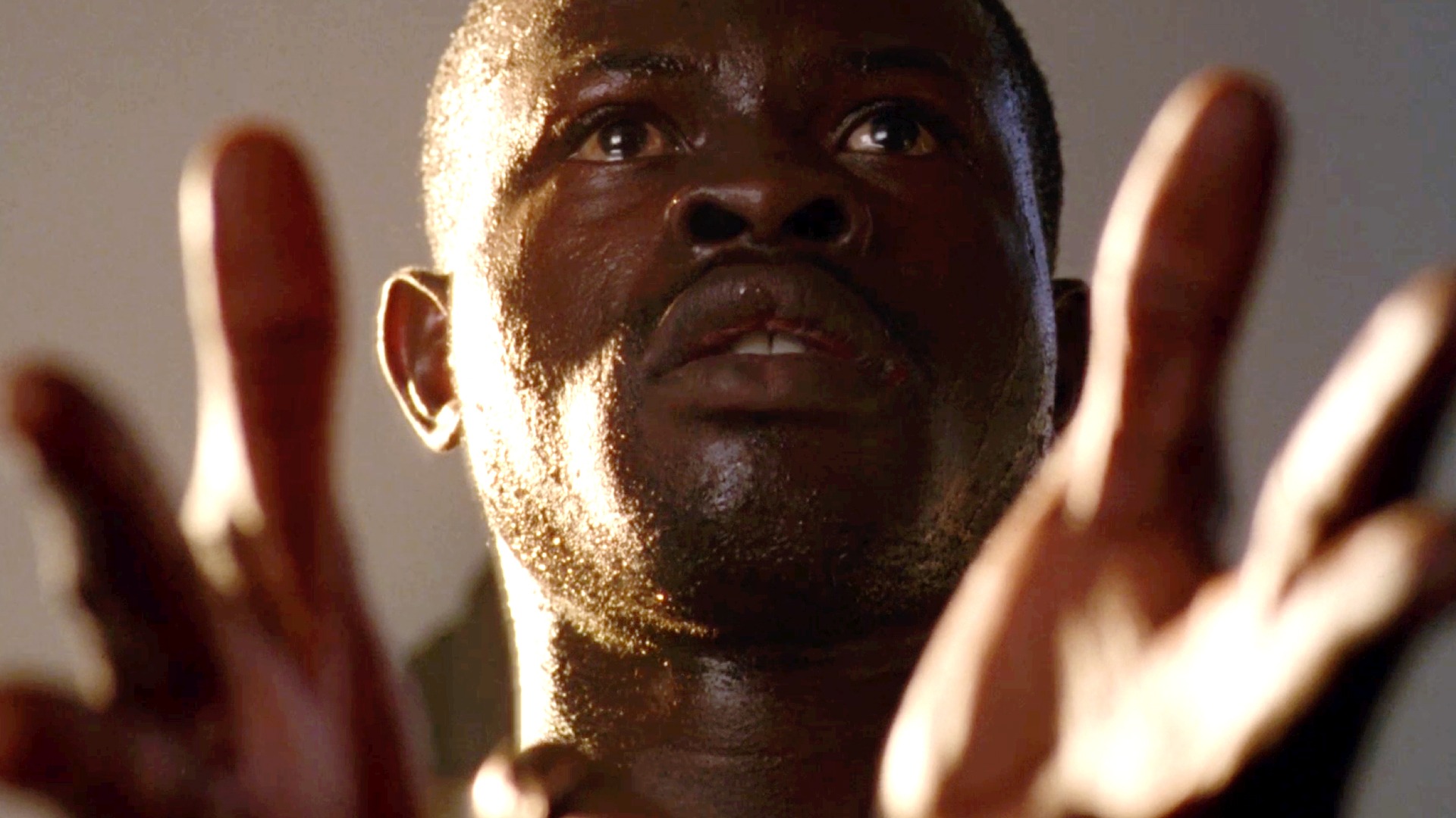 Amistad | Rotten Tomatoes