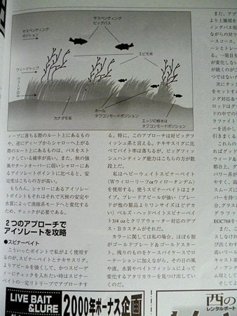 FISH ON（フィッシュ オン） | New Discoveries of Life