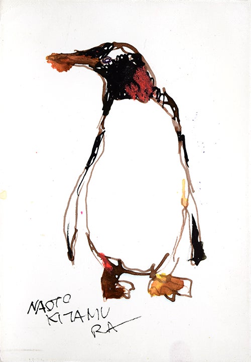 17002 お互いぶつかりあったことなんて、一度もなかった コアラ