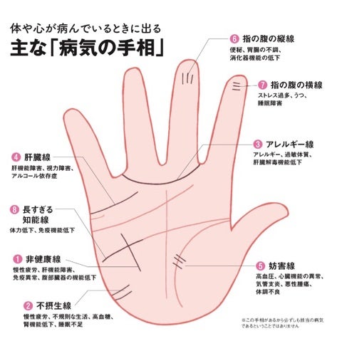 夏越の祓」に、病気の手相を消して健康に | 西田普オフィシャルブログ