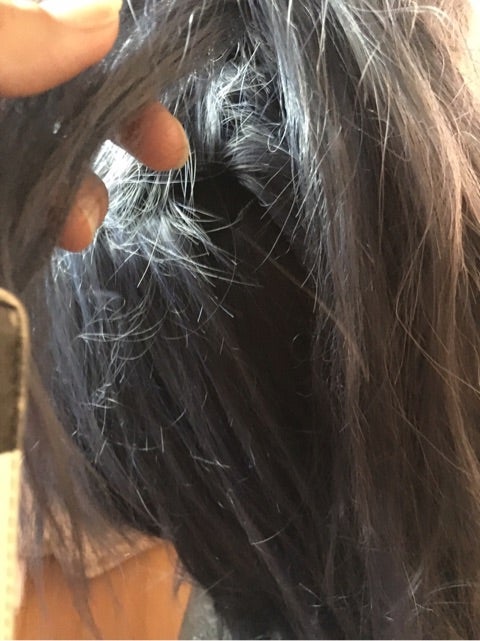 大典太光世 ウィッグ作成 | 藍色兎日誌～Aito's BLOG～