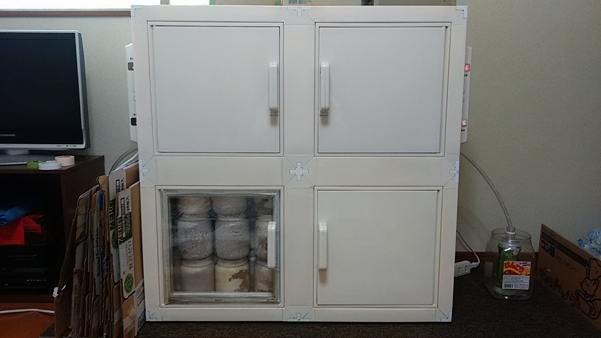 冷やし虫家、合体（＾＾） | よしくんのクワガタ採集・飼育のブログ