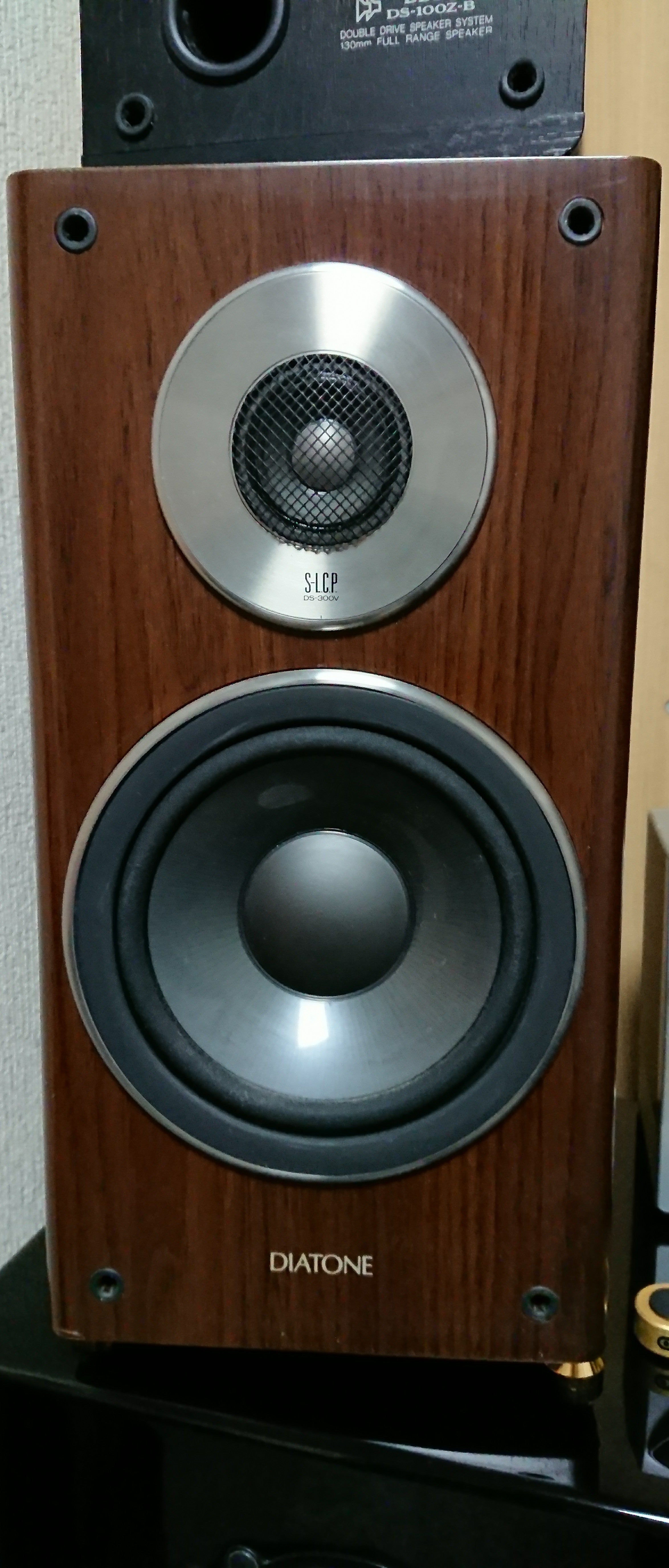 DS-300V 2日使用した感想 | NAGAO=DIATONE