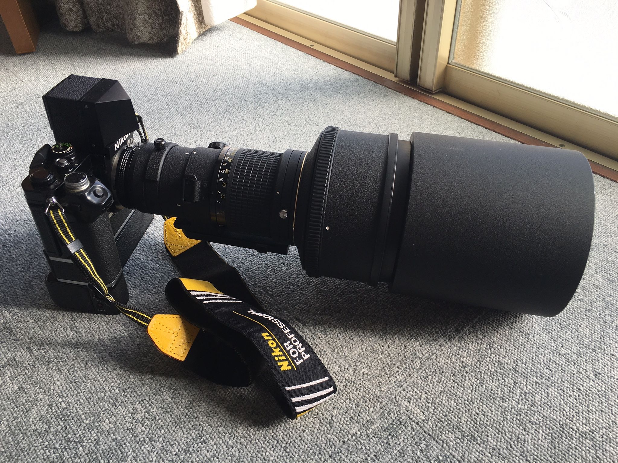 見たいものへの集中力（Ai nikkor ED 300mm/F2.8S（IF）） | 妄想を形